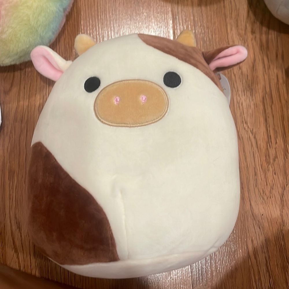 Ronnie squishmallow